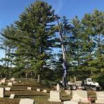 articulating crane in cemetery doing tree work